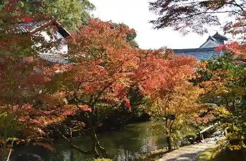 くろ谷 金戒光明寺(京都府)