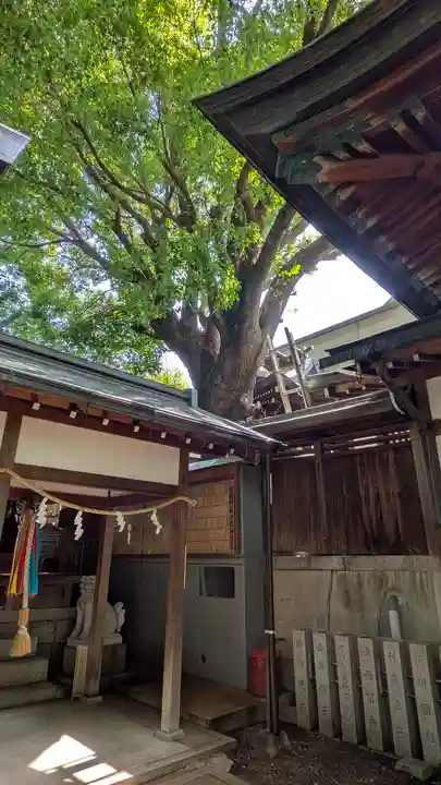 白山神社(大阪府)