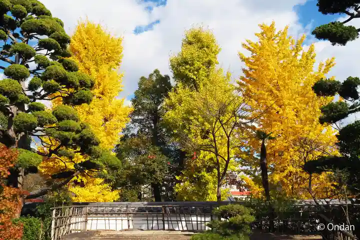 福祥寺(須磨寺)の自然