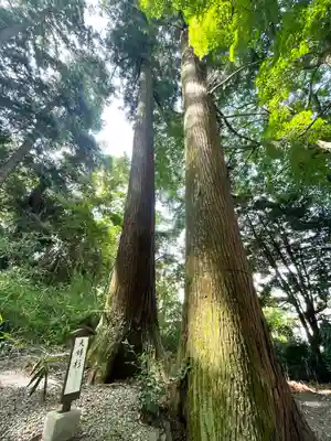大神神社(岐阜県)