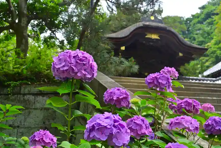 円覚寺(神奈川県)