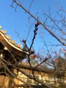 一乗院(和歌山県)(2025年12月02日(火) 23時17分01秒投稿)