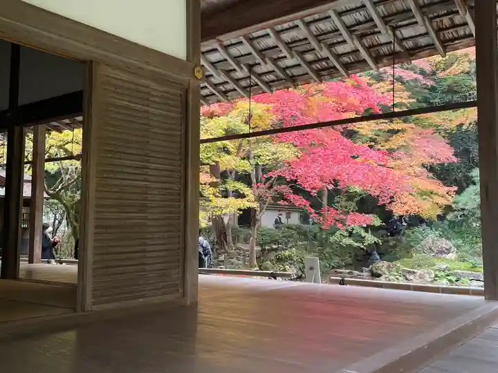 南禅院(京都府)