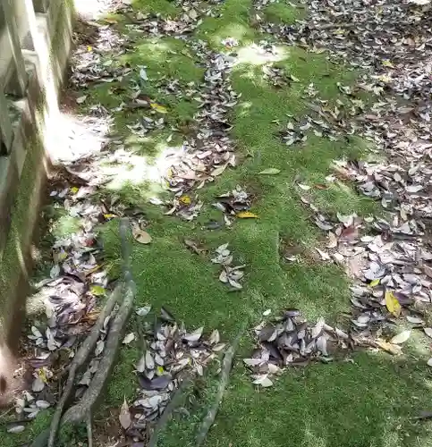 沼尾神社の自然
