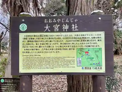 大宮神社(栃木県)