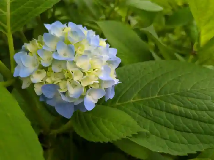 高林寺(福島県)