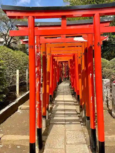 乙女稲荷神社の鳥居