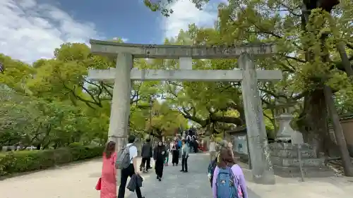 太宰府天満宮の鳥居