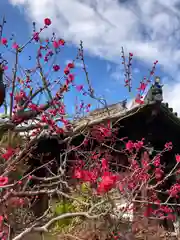 荘厳浄土寺(大阪府)