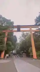 川越氷川神社(埼玉県)