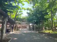 新琴似神社(北海道)