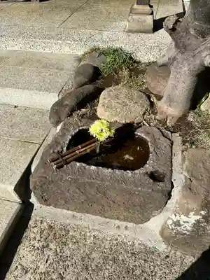 龍泉院(東京都)