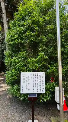 息栖神社(茨城県)