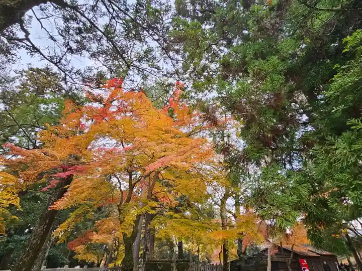 手向山八幡宮(奈良県)
