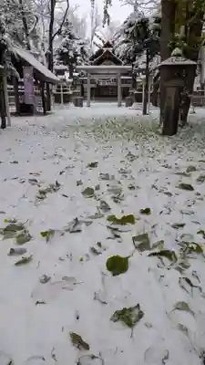 新琴似神社(北海道)