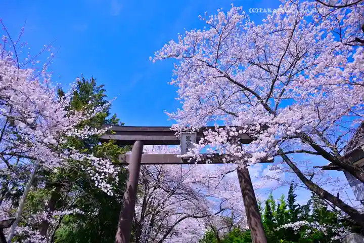 冨士御室浅間神社(山梨県)