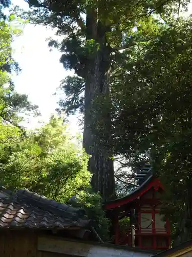 十根川神社(宮崎県)