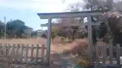 大山祇神社の鳥居