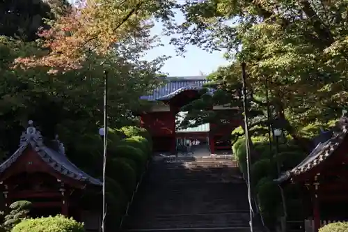 護国寺の山門・神門