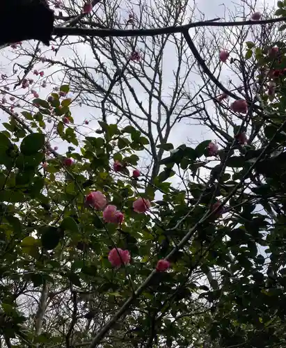 霊鑑寺門跡(京都府)