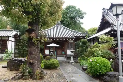 曼荼羅寺の建物その他