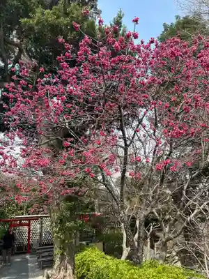 長谷寺(神奈川県)