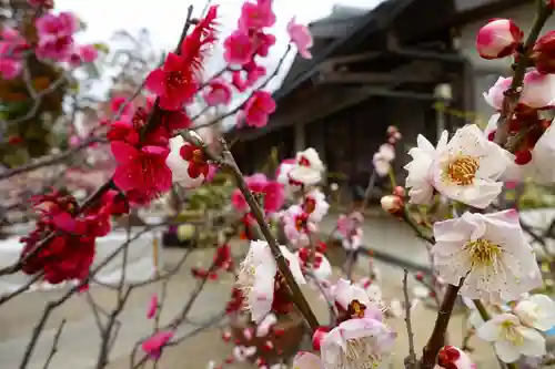 菅原天満宮（菅原神社）の自然