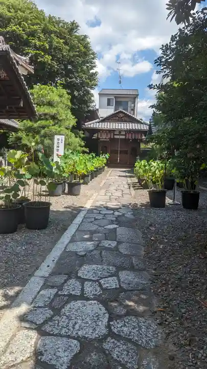 行願寺(革堂)(京都府)