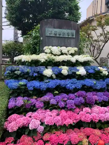 白山神社の庭園