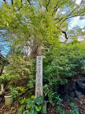 新熊野神社(京都府)