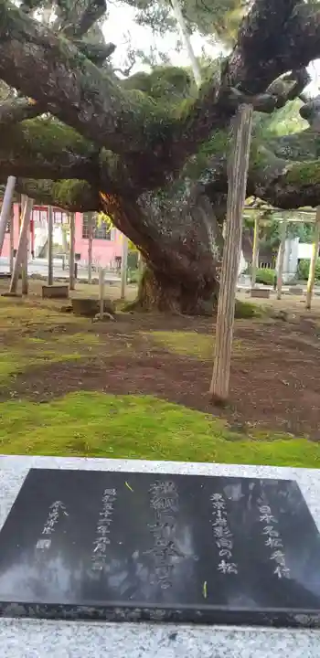 善養寺(東京都)