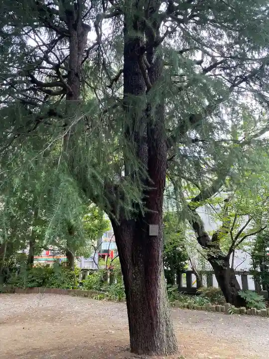 青山熊野神社(東京都)