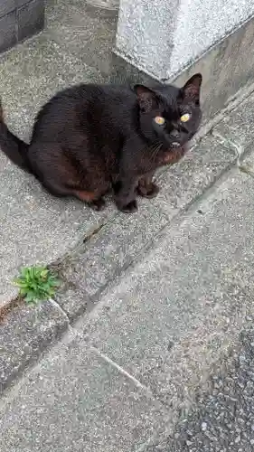 顯正寺（顕正寺）(京都府)