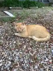 長楽寺の動物