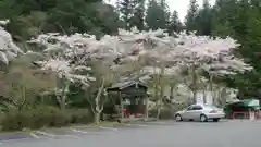 室生寺の自然