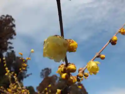 沙沙貴神社のその他建物