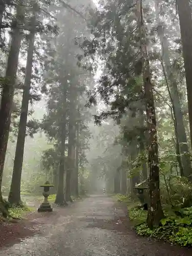 戸隠神社奥社の景色