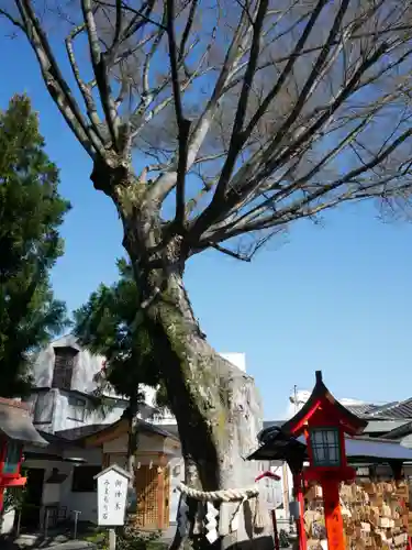 正ノ木稲荷 稲積神社の建物その他