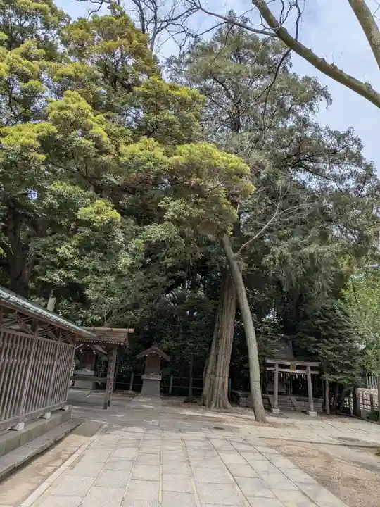 越ヶ谷久伊豆神社(埼玉県)