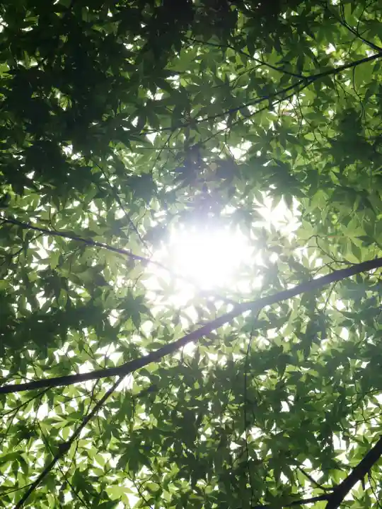 普門寺(切り絵御朱印発祥の寺)(愛知県)