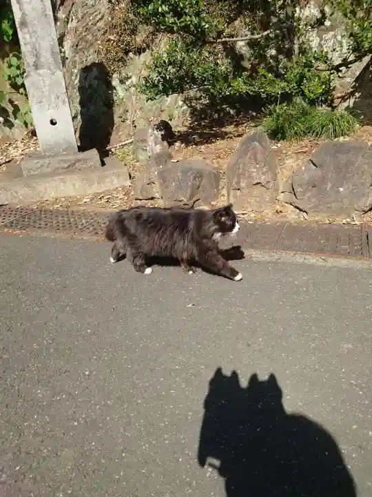 唐澤山神社(栃木県)