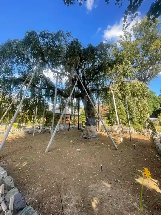 清瀧院(千葉県)