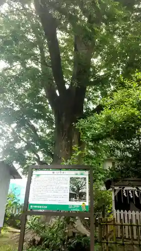 龍ケ崎八坂神社(茨城県)