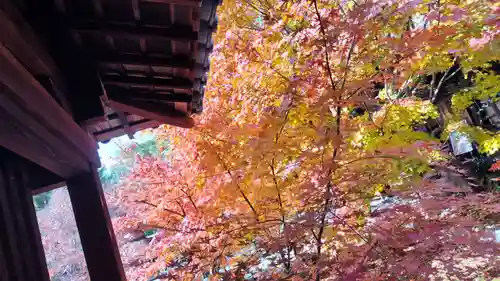 勝林寺(京都府)