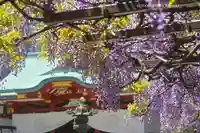 日枝神社(東京都)