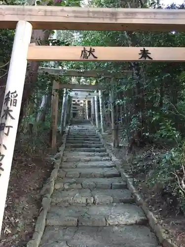 松尾神社の鳥居