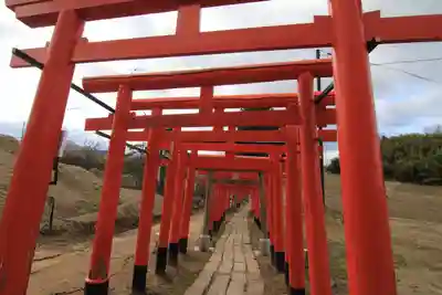 高屋敷稲荷神社の鳥居