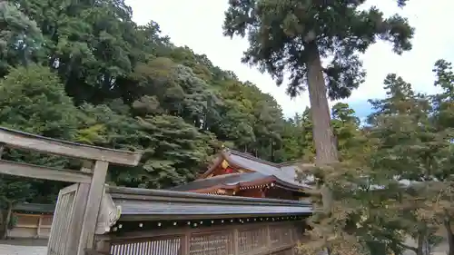 高麗神社(埼玉県)