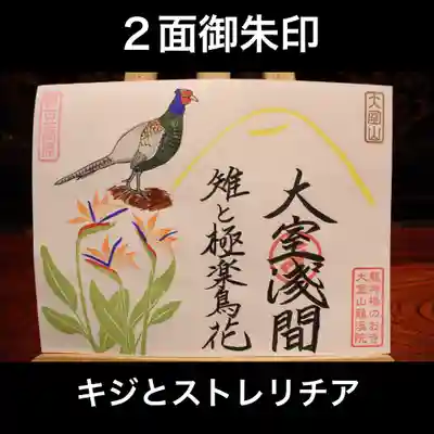 2面御朱印「キジとストレリチア」