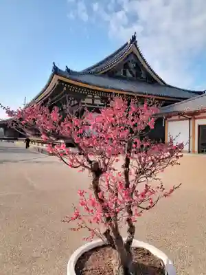 蓮華王院（三十三間堂）(京都府)